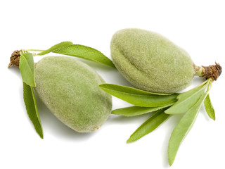 Two young almond nuts on a white background isolated