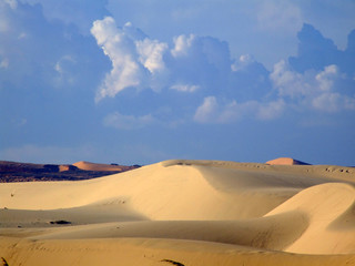 Fototapeta na wymiar Desert et dunes
