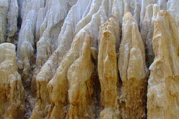 Sculpture naturelle 
