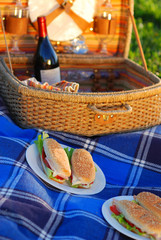 Picnic sandwiches