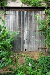Overgrown doorway at an abandoned grain elevator