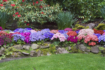 Beautiful and colorful lowers in Butchart Gardens