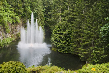 Water fountain and trees in Butchart Gardens