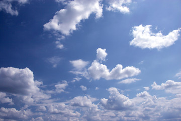 Obraz premium clear sky of sunny day