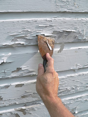 Paint scraping
