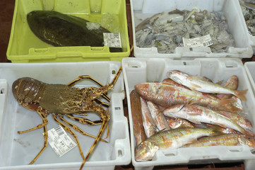 pesca-55