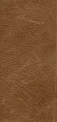 A background of old skin