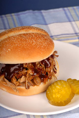 A pulled pork sandwich with pickles on a white plate