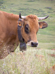 VACH 100_2840