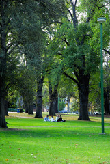 Picnic In The Park