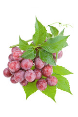 Wet juicy red grapes