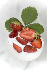 Erdbeeren mit Joghurt