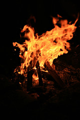 Campfire