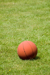 Basketball and lawn