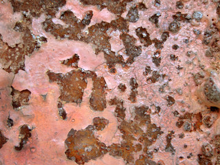 Naklejka premium Rost002