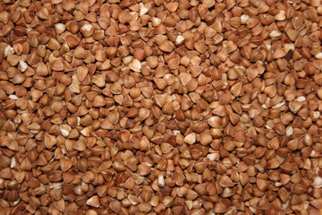 buckwheat background