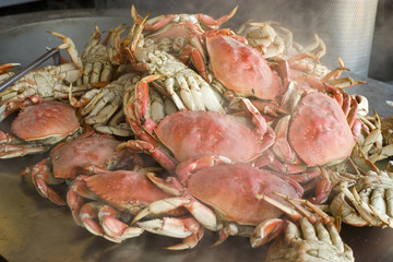 Crab out of water steaming