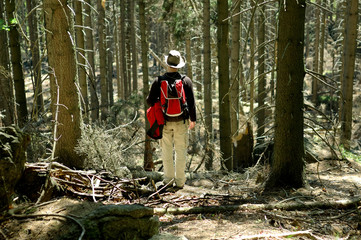 Obraz premium Tourist standing in forest