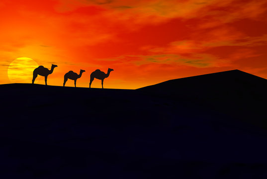 3D render of camel