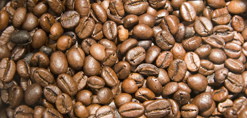 a lot of coffee beans