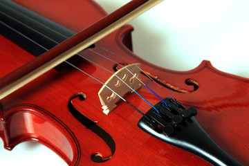 Violin