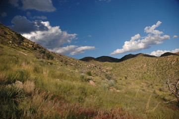 Fototapeta premium A valley in the southern Arizona mountainous landscape.