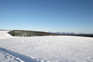 winter road covered in snow