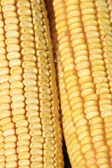 Close-up of two Corn cars