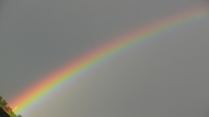 Regenbogen