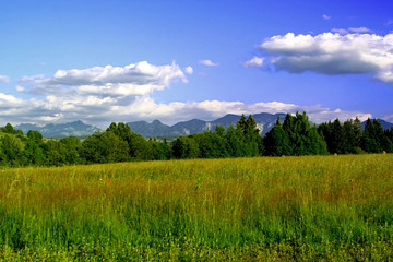 Tatras