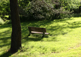 Bench