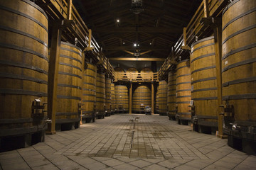 Bodega de vino con barricas de madera