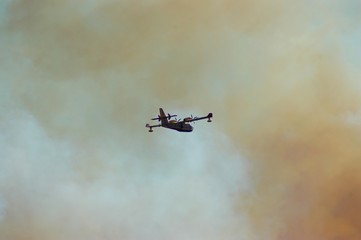 canadair dans la fumee