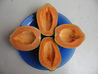 Papaya (Carica papaya), auch Melonenbaum oder Papayabaum genannt, ist die einzige Art der...