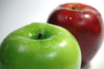 Apfel - Obst