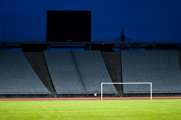 The Goal