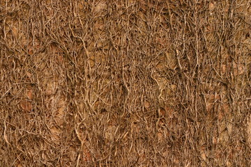 Dead climbing veins