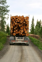 Timber transportation