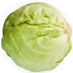 cabbage-head