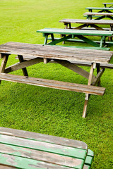 bench and green lawn at a park