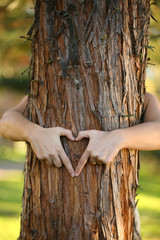 environmentalist hugging pine tree and making a heart. 
