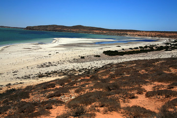 Weisser Sandstrand trift grünes Meer Australien_07_1320