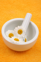 camomile and mortar and pestle - beauty or health treatment