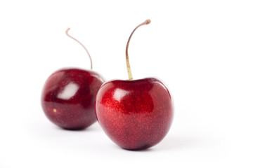 red cherry with white background