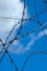 barbed wire on the sky