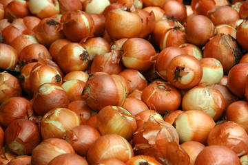 Many fresh brown onions on display in a market stand