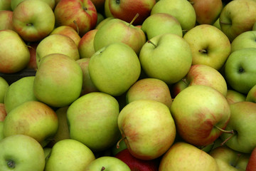 Many yellow/green/red apples on display in a market
