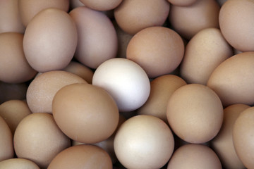 Paris fresh eggs from the market