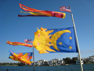 Windy Flags