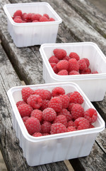 freshly picked raspberries